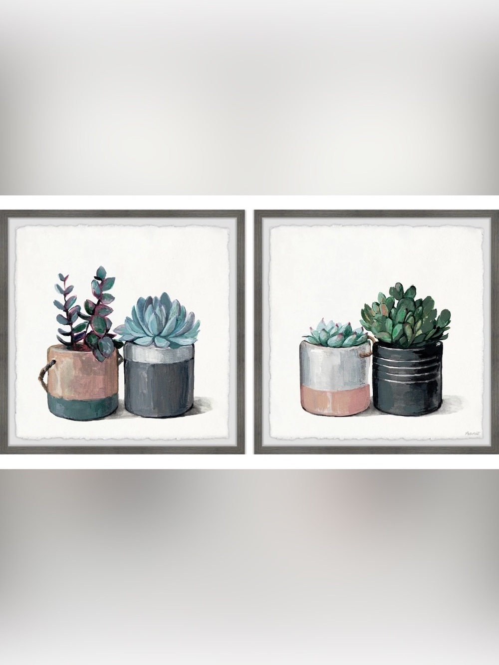 Marmont Hill Succulent Planters Diptych- Wall decor, Picture frames